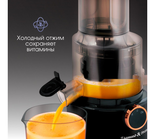 Соковыжималка Zigmund & Shtain ESJ-771
