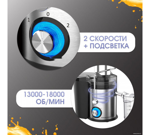 Соковыжималка Zigmund & Shtain EJ-756