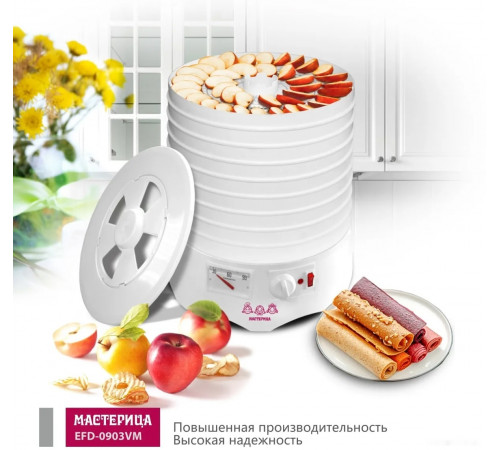 Сушилка для овощей и фруктов Мастерица EFD-0903VM