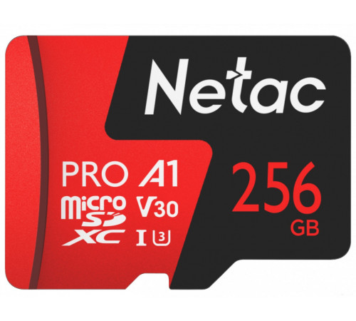 Карта памяти Netac 256GB 500 Extreme Pro NT02P500PRO-256G-R (с адаптером)