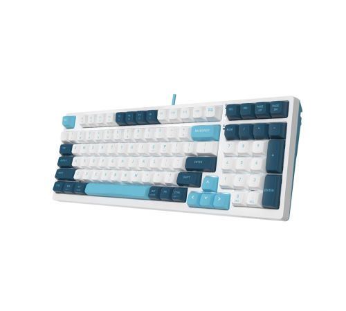 Клавиатура A4Tech Fstyler FS300 Panda Snowboarding