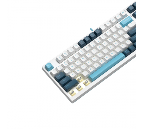 Клавиатура A4Tech Fstyler FS300 Panda Snowboarding
