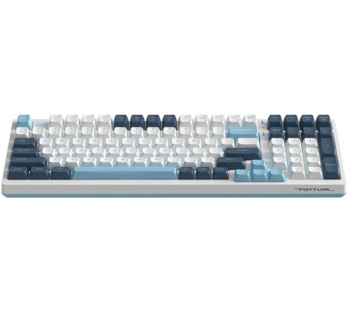Клавиатура A4Tech Fstyler FS300 Panda Snowboarding