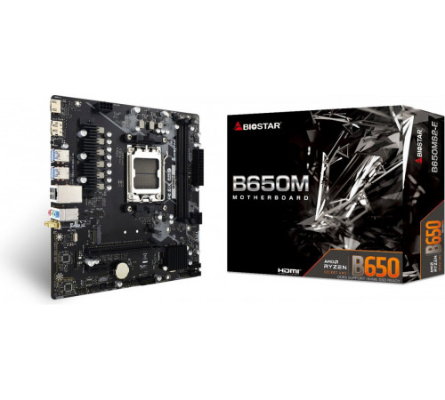 Материнская плата Biostar B650MS2-E Ver. 6.0