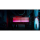 Модуль памяти Kingston FURY Renegade RGB 16ГБ DDR5 8000МГц KF580C38RSA-16