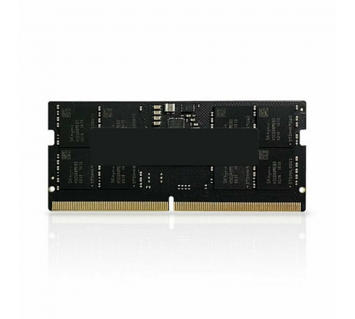Модуль памяти AMD Radeon R5 Entertainment Series 32ГБ DDR5 4800 МГц R5532G4800S2S-U