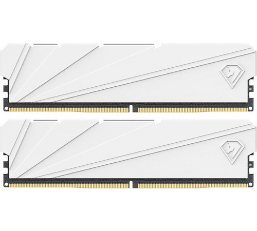 Модуль памяти Netac Shadow S 2x16ГБ DDR4 3200 МГц NTSSD4P32DP-32W