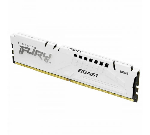 Модуль памяти Kingston FURY Beast 16ГБ DDR5 6000 МГц KF560C36BWE2-16