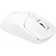 Игровая мышь A4Tech Bloody R72 Ultra (белый)