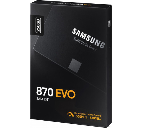 SSD Samsung 870 Evo 250GB MZ-77E250BW