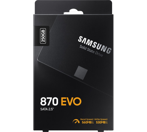 SSD Samsung 870 Evo 250GB MZ-77E250BW