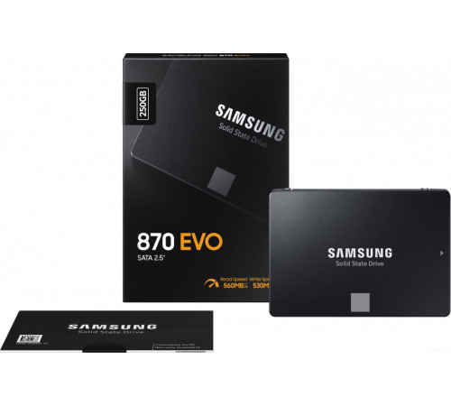 SSD Samsung 870 Evo 250GB MZ-77E250BW