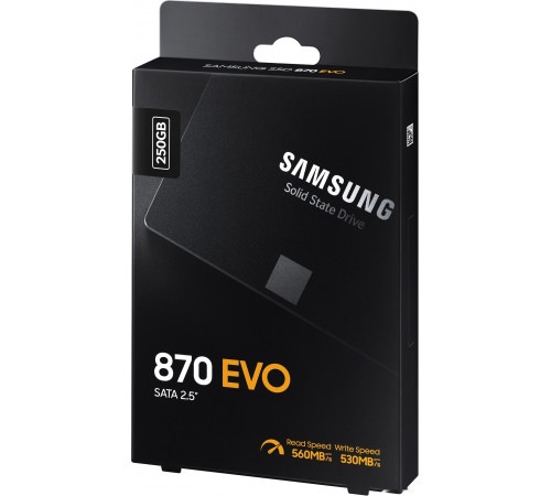 SSD Samsung 870 Evo 250GB MZ-77E250BW