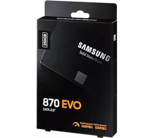 SSD Samsung 870 Evo 250GB MZ-77E250BW