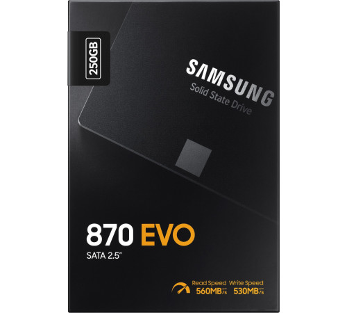 SSD Samsung 870 Evo 250GB MZ-77E250BW