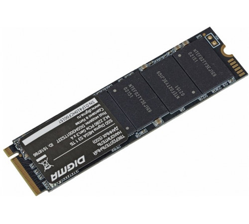 SSD DIGMA Mega S3 1TB DGSM3001TS33T