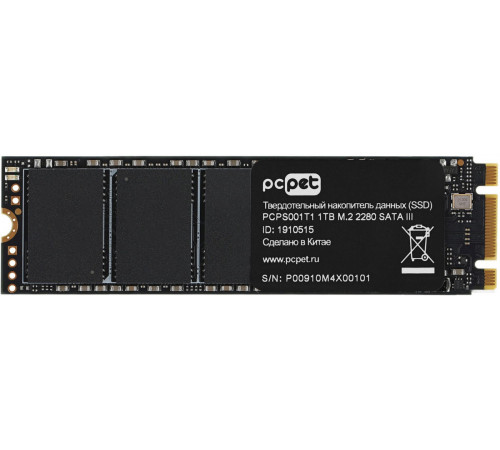 SSD PC PET 1TB PCPS001T1