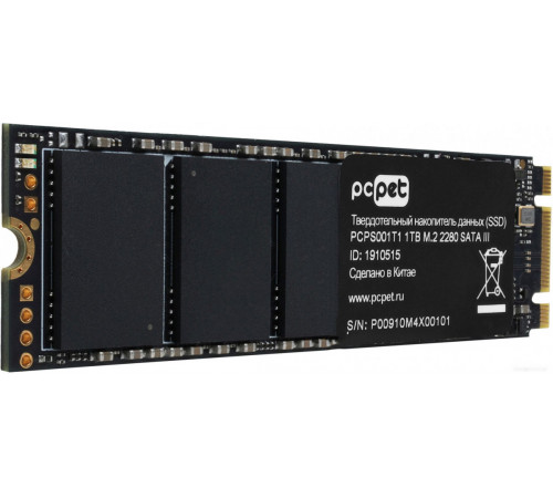 SSD PC PET 1TB PCPS001T1