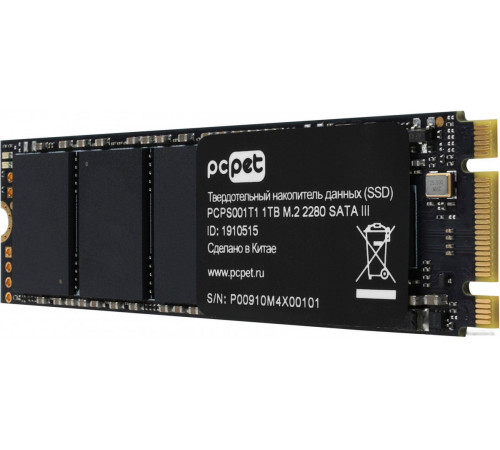 SSD PC PET 1TB PCPS001T1