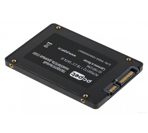 SSD PC PET 1TB PCPS001T2