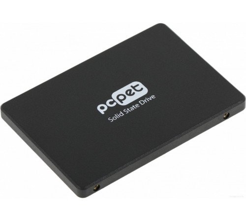 SSD PC PET 256GB PCPS256G2