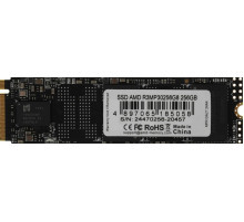 SSD AMD Radeon R3 256GB R3MP30256G8