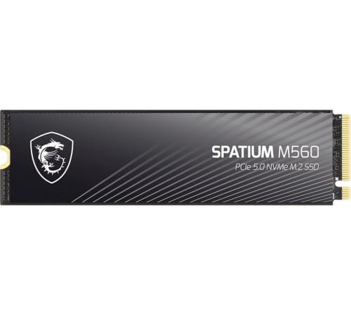 SSD MSI Spatium M560 2TB S78-440Q940-P83