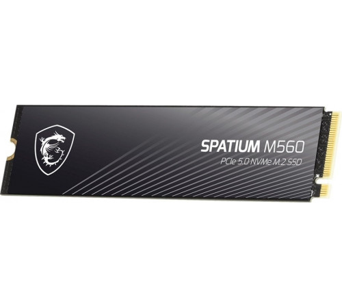 SSD MSI Spatium M560 2TB S78-440Q940-P83