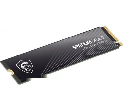 SSD MSI Spatium M560 2TB S78-440Q940-P83