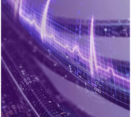 Жесткий диск Western Digital Purple Pro 14TB WD141PURP