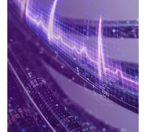 Жесткий диск Western Digital Purple Pro 12TB WD121PURP