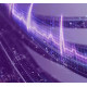Жесткий диск Western Digital Purple Pro 12TB WD121PURP