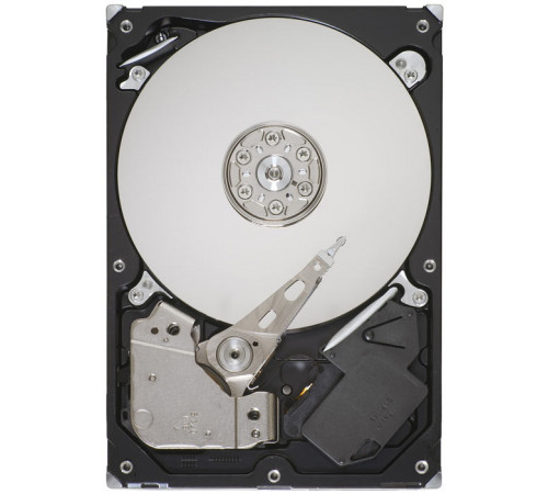 Жесткий диск Seagate ST1000VM002