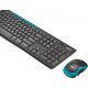 Клавиатура + мышь Logitech Wireless Combo MK275 920-007721