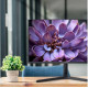 Монитор Irbis NobleView IMVW32QIDL