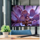 Монитор Irbis NobleView 34UIDL