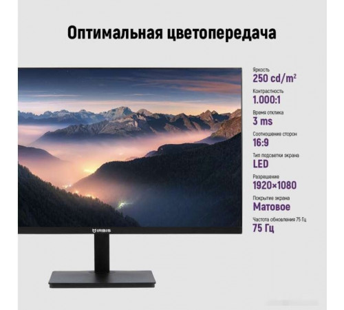 Монитор Irbis ISM24FIDVesa