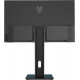 Монитор Raskat I24F10DAP