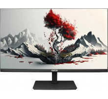 Монитор RDW Computers 2401K/F00В3100V2A1H