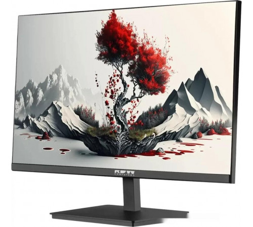 Монитор RDW Computers 2401K/F00В3100V2A1H