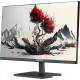 Монитор RDW Computers 2401K/F00В3100V2A1H