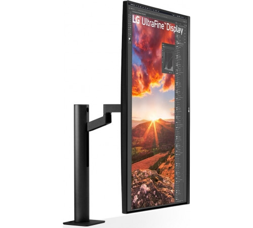 Монитор LG UltraFine 32UN880K-B
