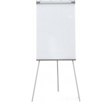 Флипчарт Cactus CS-FCT-W67x105