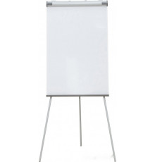 Флипчарт Cactus CS-FCT-W67x105