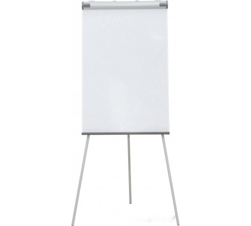 Флипчарт Cactus CS-FCT-W67x105