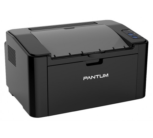 Принтер Pantum P2500