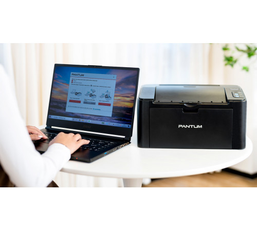 Принтер Pantum P2500