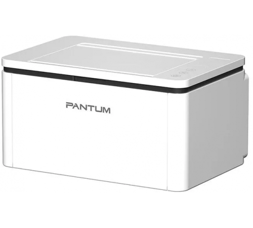 Принтер Pantum BP2300W