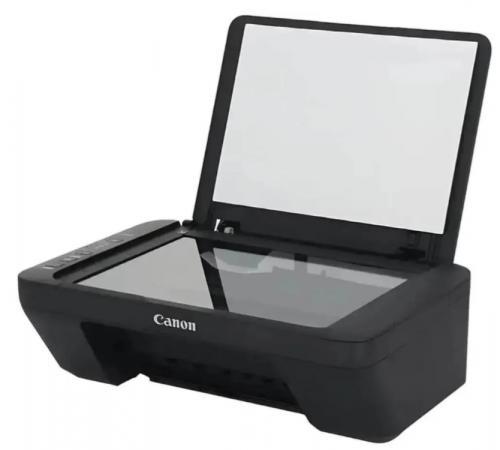 Принтер Canon Pixma MG2541S