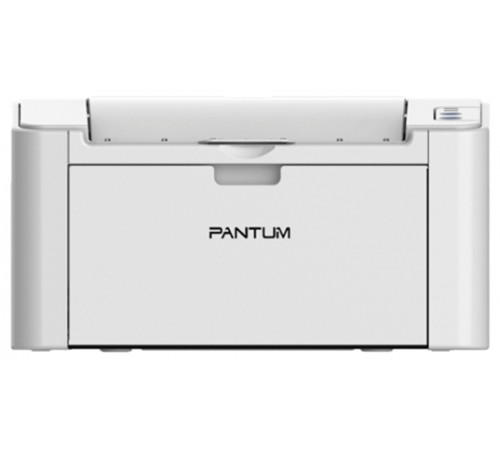 Принтер Pantum P2200